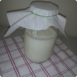 Home Made Yogurt Home Made Yogurt