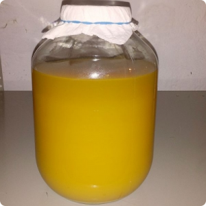 Homemade Apple Cider Vinegar Apple Cider Vinegar