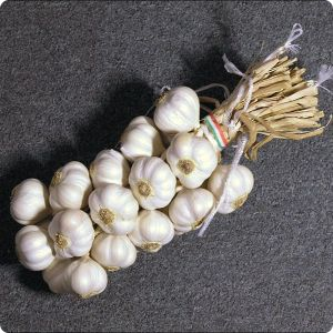 Garlic - Photo by Matěj Baťha