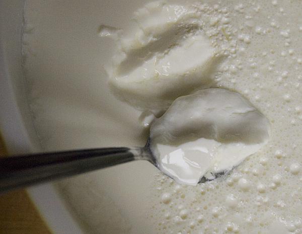Yogurt (by www.flickr.com/photos/easteighth)
