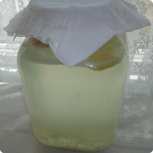 Water Kefir