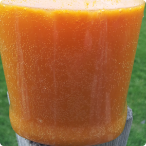 Sea Buckthorn Flavored Water Kefir Sea Buckthorn Flavored Water Kefir