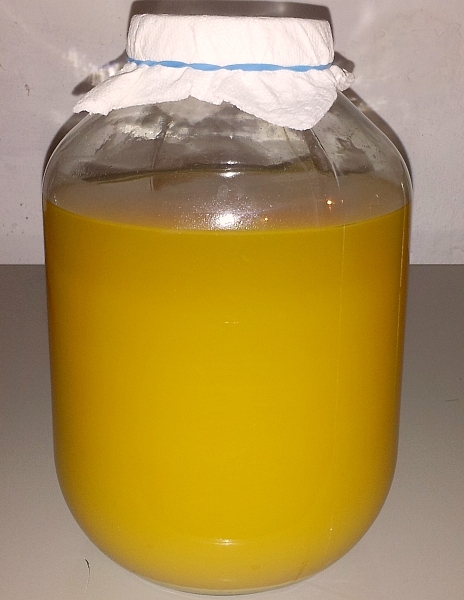 Apple Cider Vinegar Fermenting
