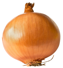 onion