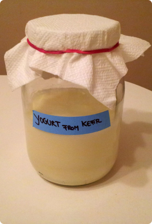 Homemade Yogurt in a Jar