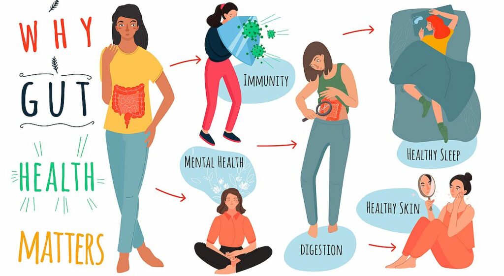 why gut health matters infographic.