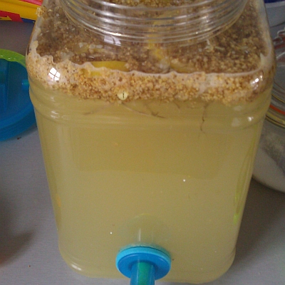 socata fermenting in glass jar