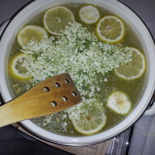 elder flowers and lemons fermenting in a pot