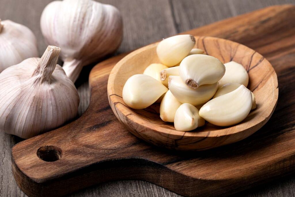 garlic